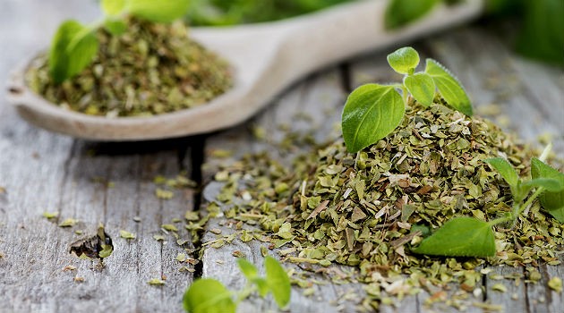 oregano-emagrece-erva-enxuga-medidas-e-desincha1-1