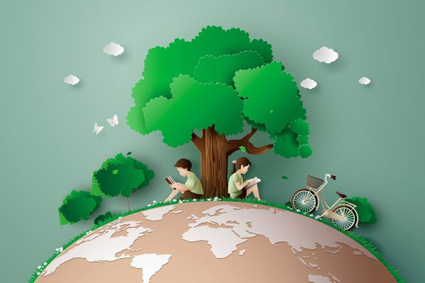 8 dicas para adotar um consumo mais consciente e sustentável