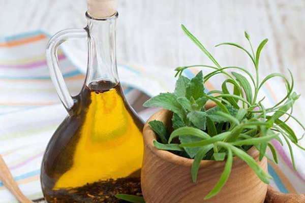 Conheça sete benefícios do orégano para sua saúde