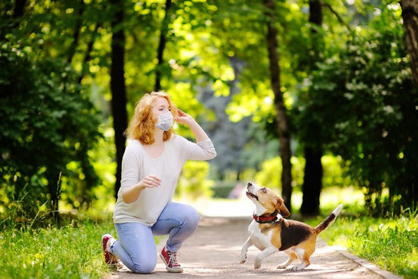 Imunidade e pandemia: como elas se relacionam?