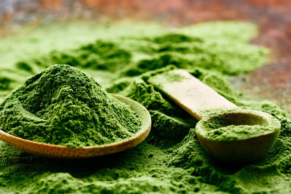 Chlorella: o que é e quais os benefícios para a saúde?