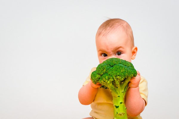Como fazer a introdução alimentar corretamente?