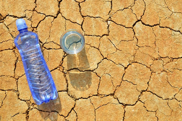 Tudo o que você precisa saber sobre desidratação