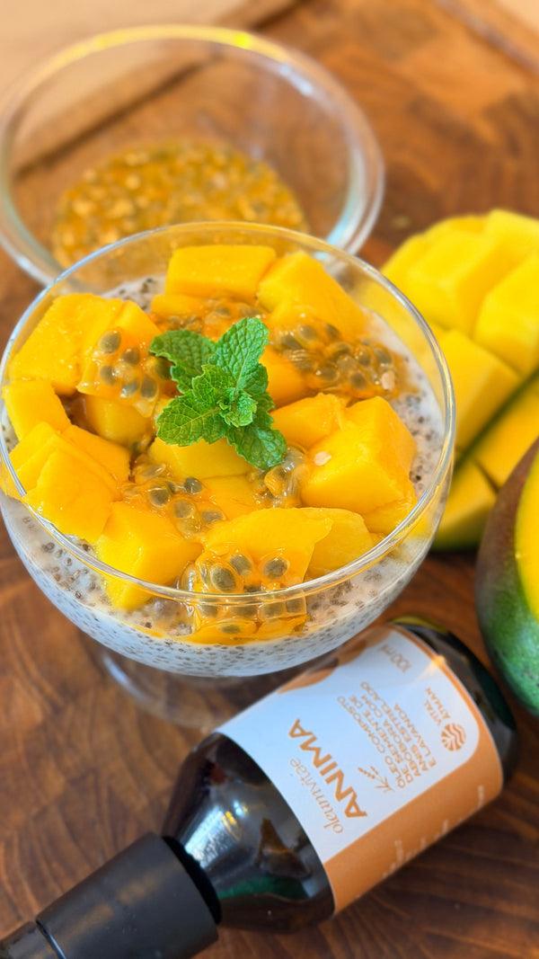 Chia pudding tropical com Ânima