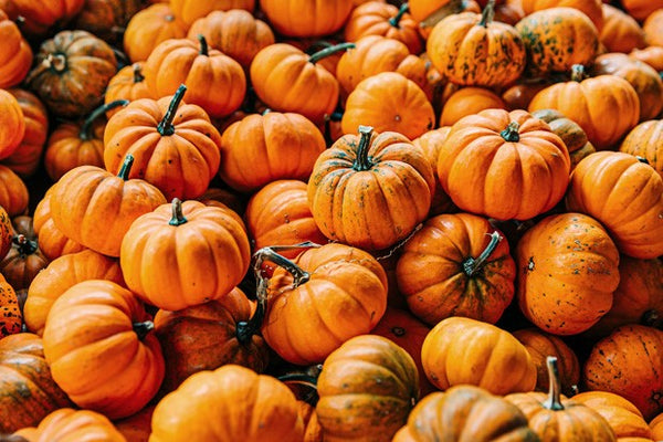 Os benefícios do óleo de abóbora no tratamento da infeção urinária