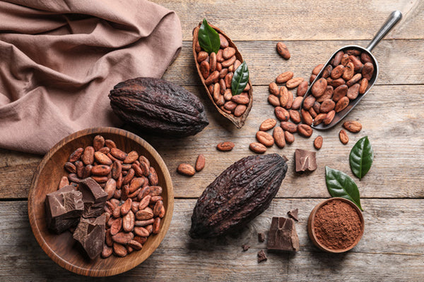 As maravilhas do cacau e os benefícios do chocolate amargo para a saúde