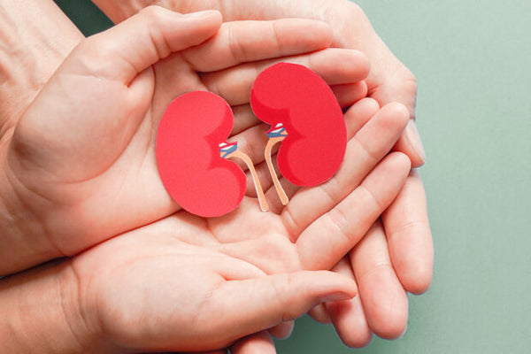 A coenzima Q10 pode fazer mal para os rins?