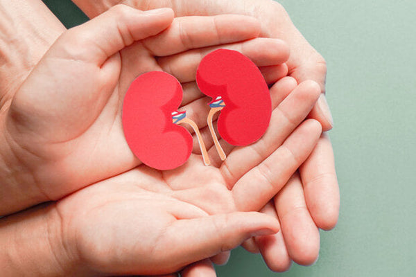 A coenzima Q10 pode fazer mal para os rins?