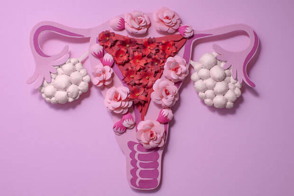 Como a nutrição pode ajudar na síndrome dos ovários policísticos?