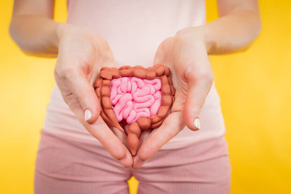 Intestino preso: 6 dicas para melhorar seu funcionamento