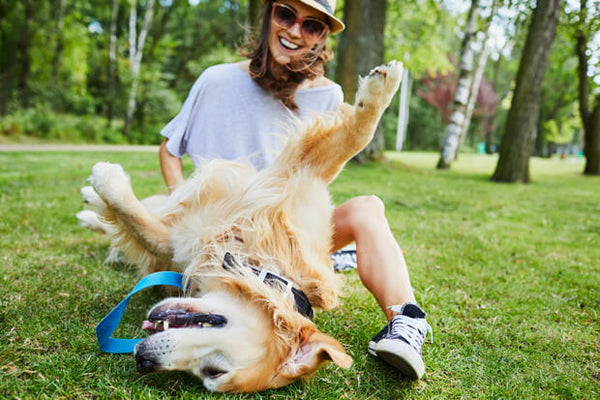 5 dicas para reduzir o estresse no dia a dia