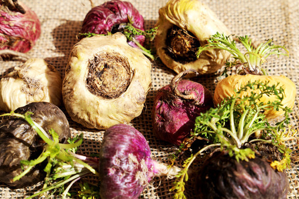 Maca Peruana: a diferença entre vermelha, amarela e preta