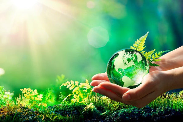 10 atitudes para cuidar do planeta!