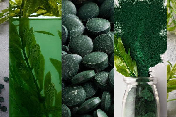 Chlorella e Spirulina são a mesma coisa? Descubra agora