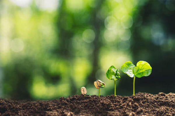 Isso é Vital: um propósito com potencial transformador