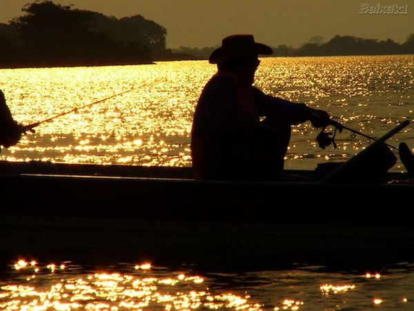 Ômega 3 como proteção contra a depressão e ansiedade, os males da atualidade