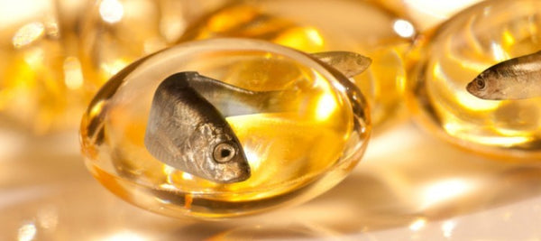 Por que você deve usar um suplemento de óleo de peixe?