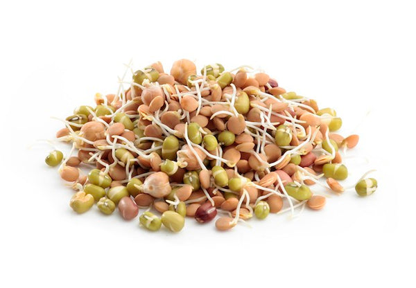 Por que germinar castanhas e sementes?