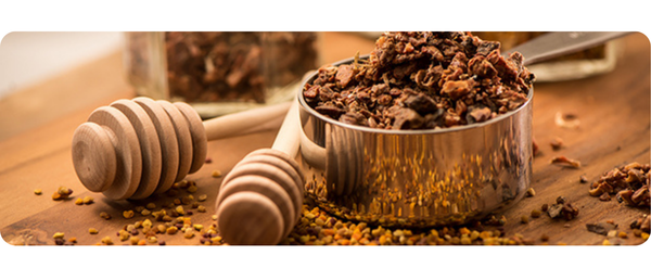 Mitos e verdades sobre a própolis