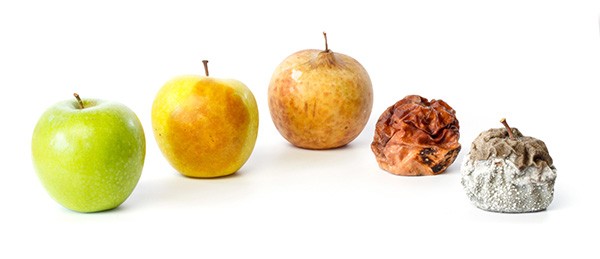 Você sabia que suas células também se estressam?