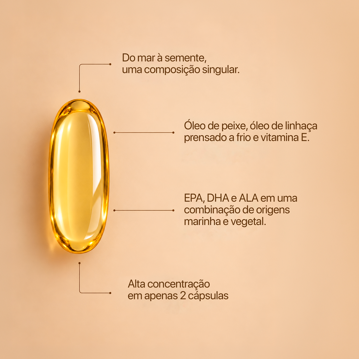 LIN FISH 33/22  - óleo de peixe com linhaça