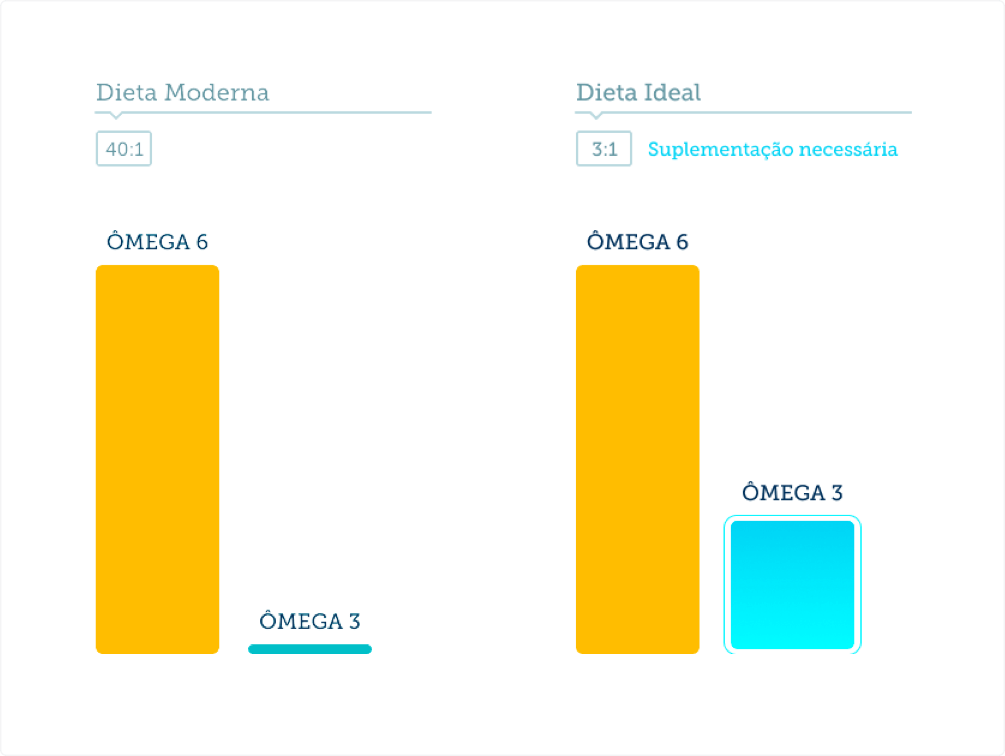 Organismo equilibrado.​