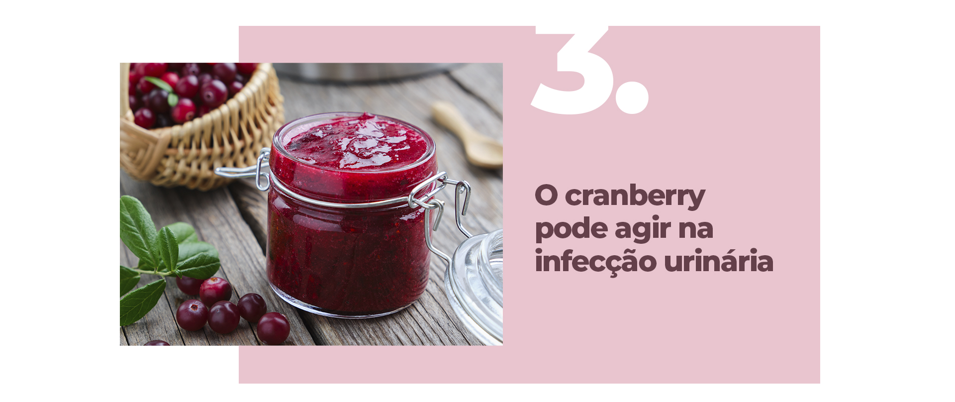 o cranberry pode agir na infecção urinária