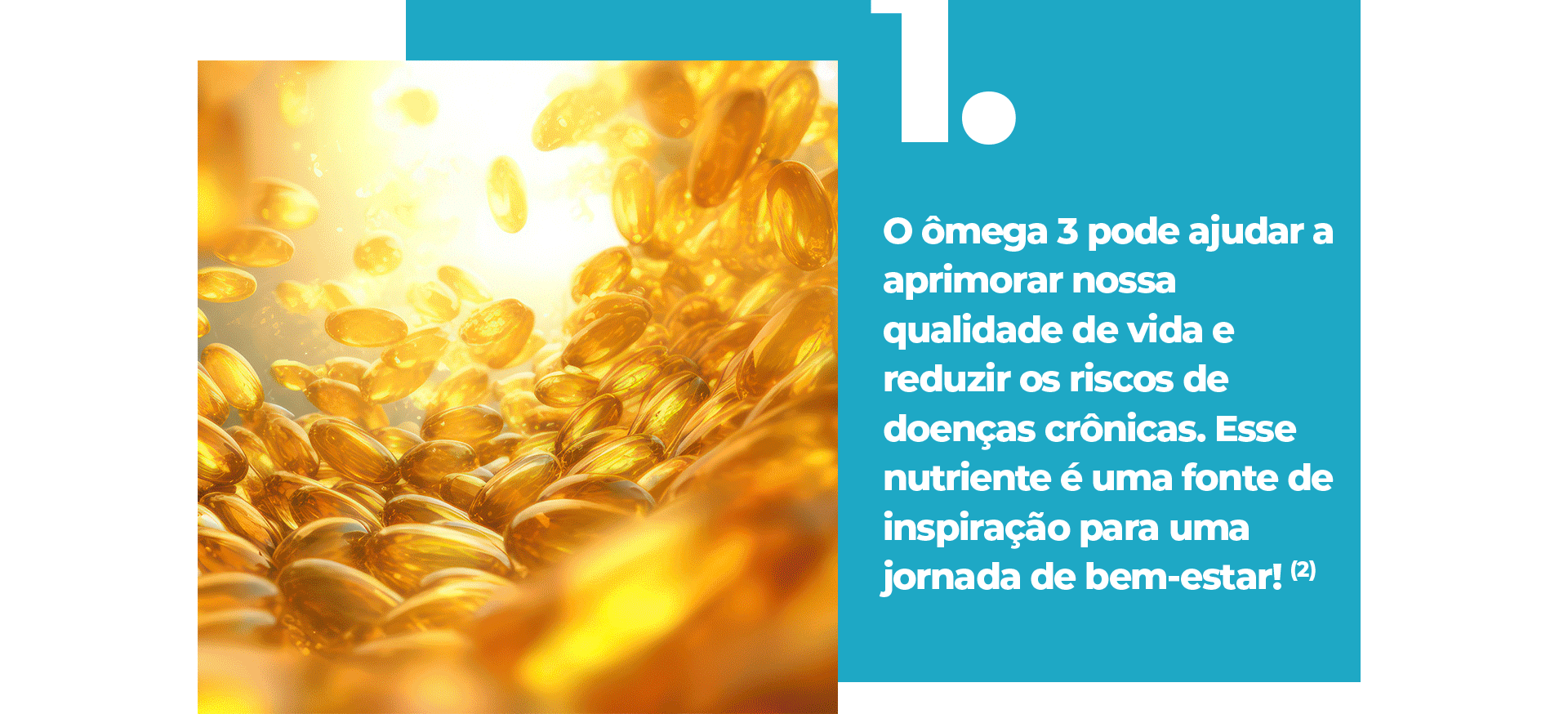 O ômega 3 pode ajudar a aprimorar nossa qualidade de vida e reduzir os riscos de doenças crônicas. Esse nutriente é uma fonte de inspiração para uma jornada de bem-estar!