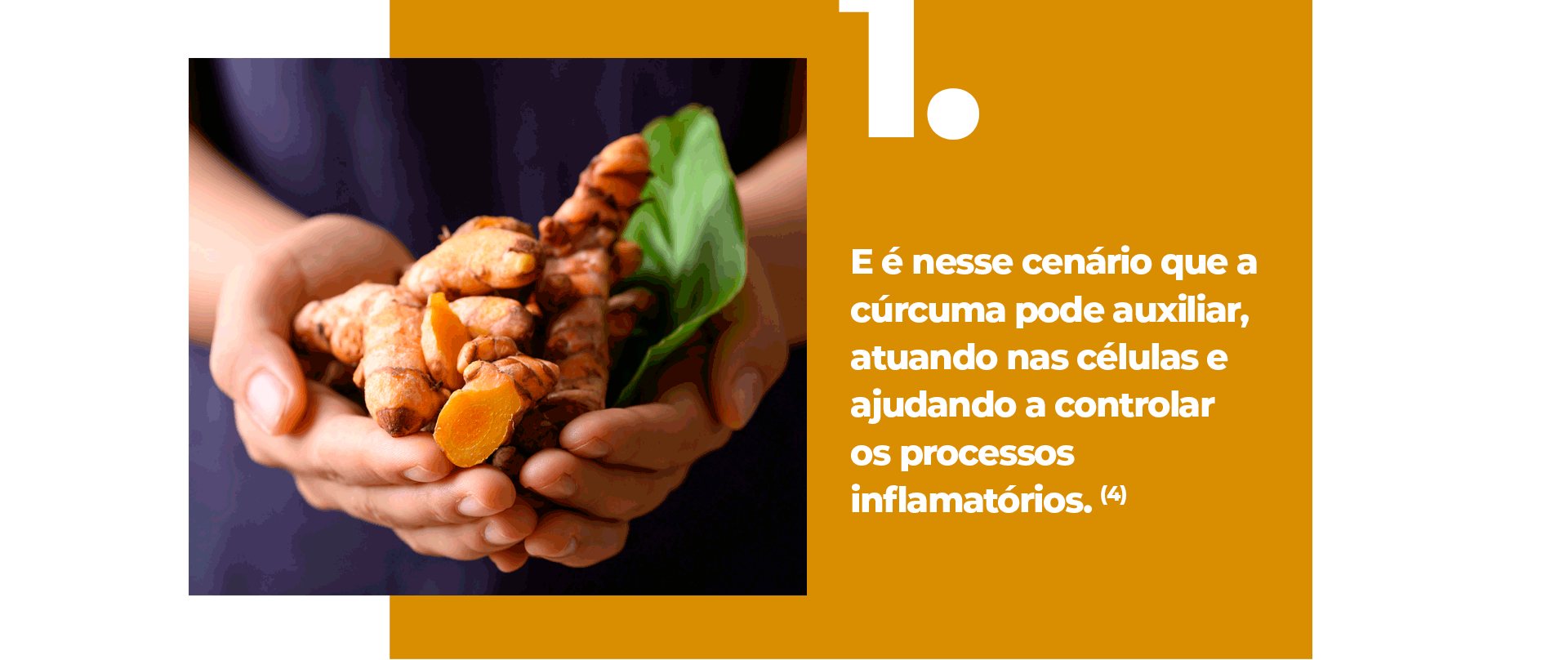 A inflamação é a resposta do corpo a desafios externos ou lesões, destinada a restaurar estruturas e funções danificadas. No entanto, quando se torna excessiva, pode resultar em doenças como aterosclerose, artrite reumatóide e asma. (2, 3)