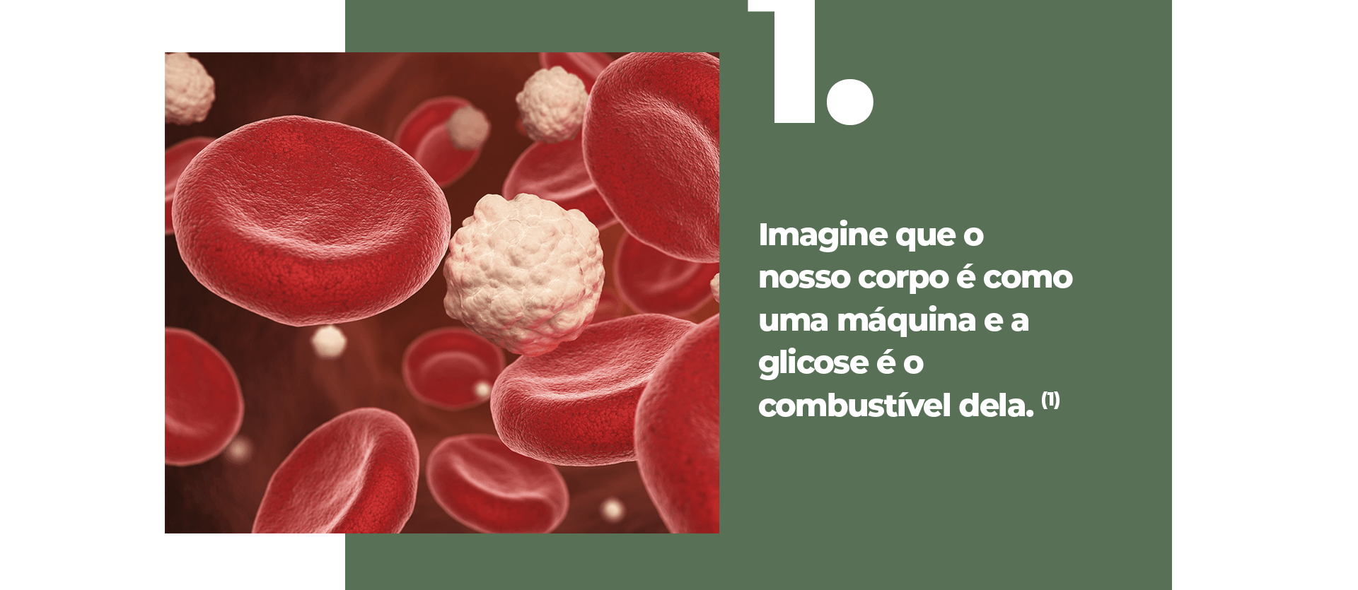 Imagine que o nosso corpo é como uma máquina e a glicose é o combustível dela.