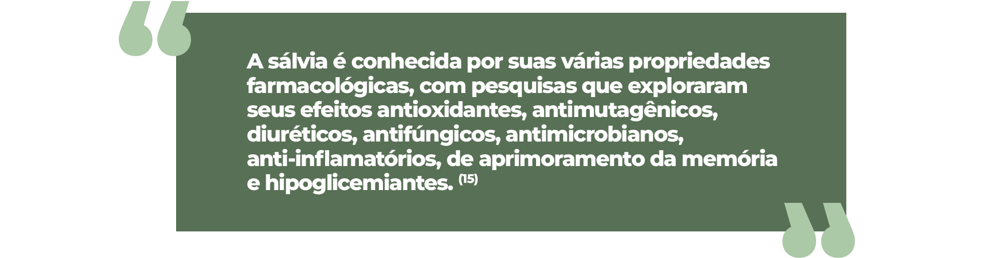 A sálvia é conhecida por suas várias propriedades farmacológicas, com pesquisas que exploraram seus efeitos antioxidantes, antimutagênicos, diuréticos, antifúngicos, antimicrobianos, anti-inflamatórios, de aprimoramento da memória e hipoglicemiantes