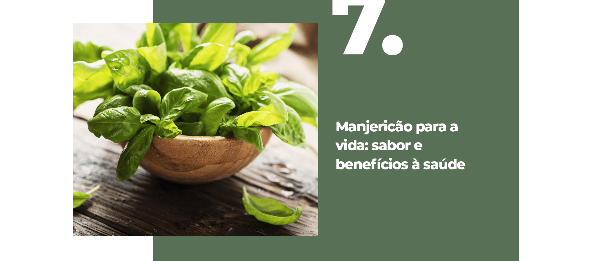 Manjericão para a vida: sabor e benefícios à saúde