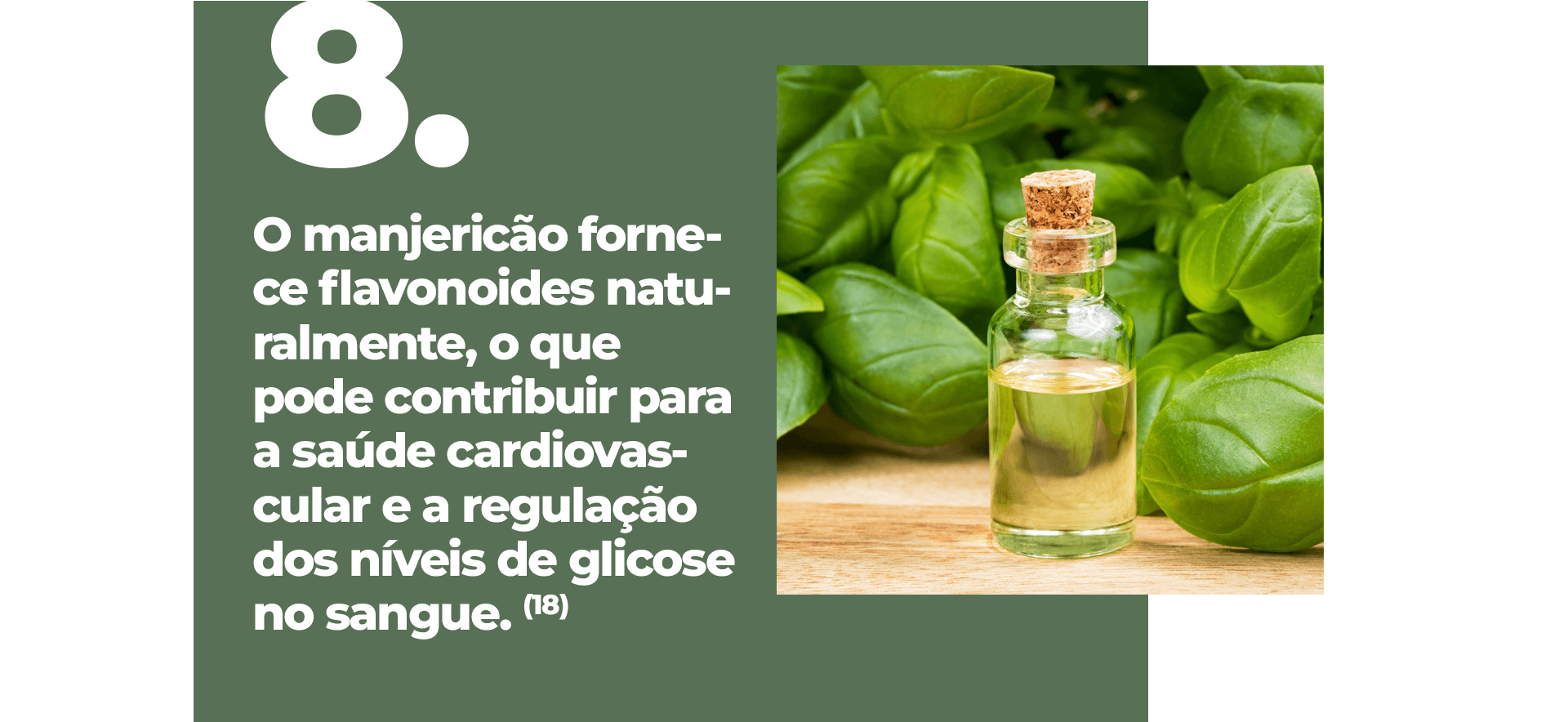 O manjericão fornece flavonoides naturalmente, o que pode contribuir para a saúde cardiovascular e a regulação dos níveis de glicose no sangue. (18)