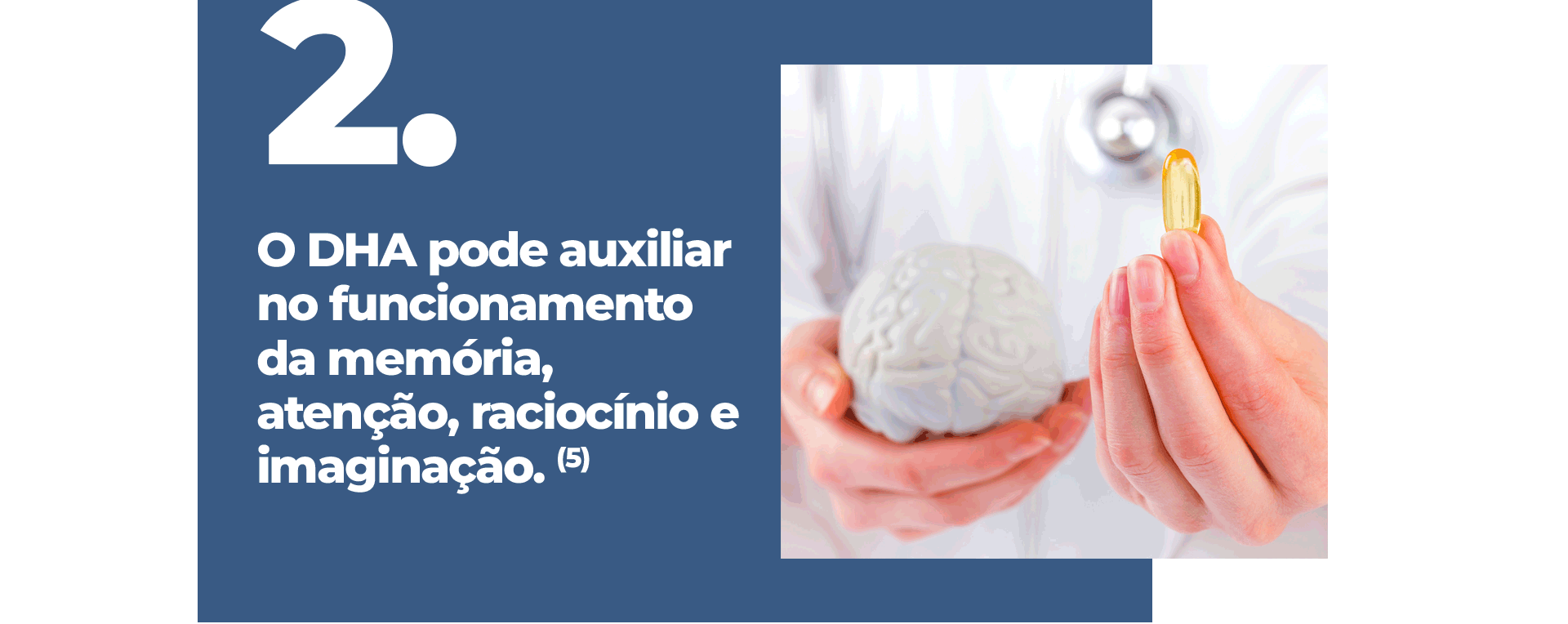 O DHA pode auxiliar no funcionamento da memória, atenção, raciocínio e imaginação.