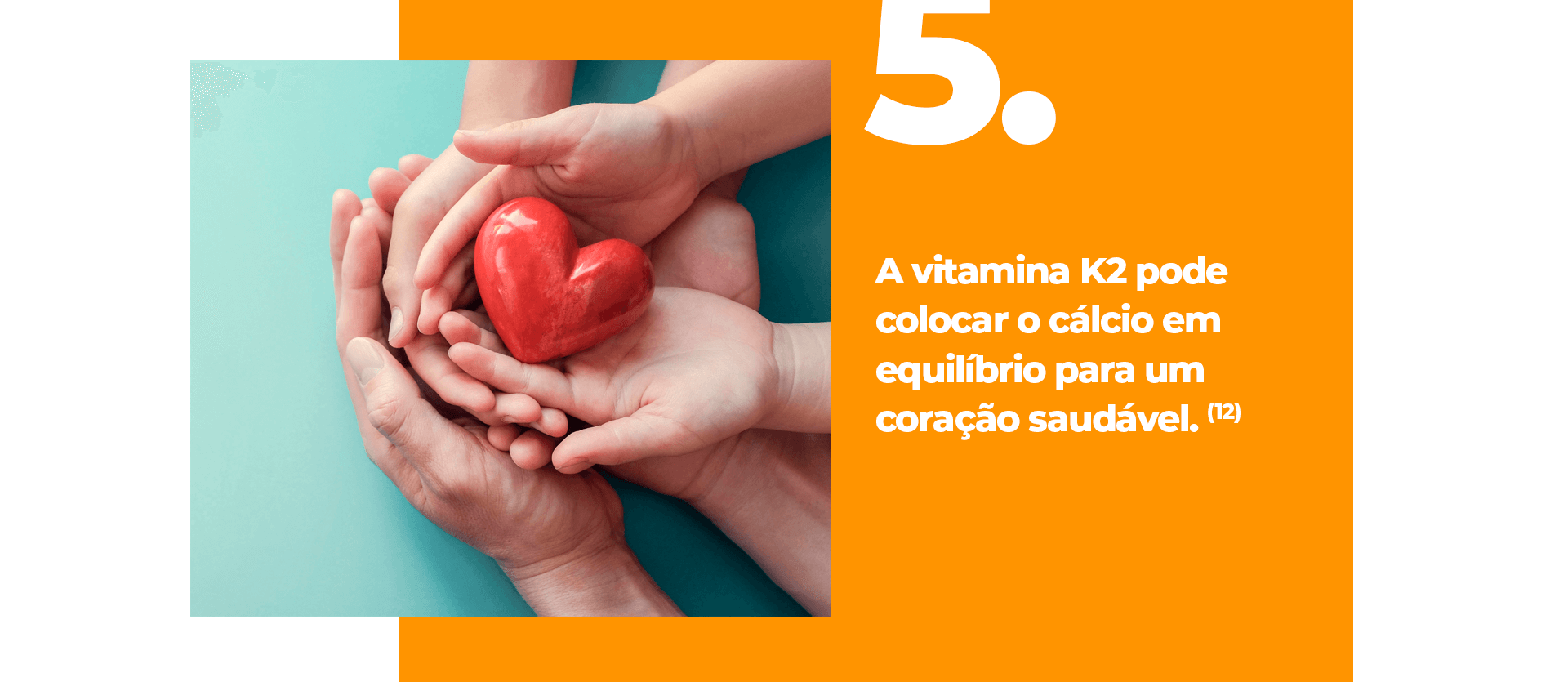 A vitamina K2 pode ativar proteínas importantes, como a osteocalcina, responsável por transportar o cálcio para os ossos e dentes, e a proteína Gla da matriz (MGP), que evita a calcificação de tecidos moles e vasos sanguíneos. Para que essas proteínas funcionem adequadamente, é importante garantir uma ingestão adequada de vitamina K2. (11)