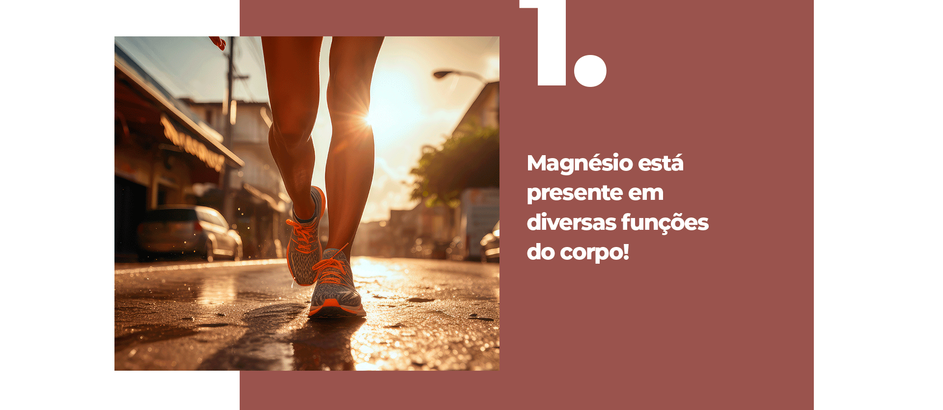 Magnésio está presente em diversas funções do corpo!