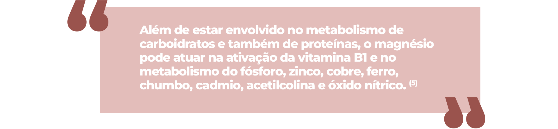 Além de estar envolvido no metabolismo de carboidratos e também de proteínas, o magnésio pode atuar na ativação da vitamina B1 e no metabolismo do fósforo, zinco, cobre, ferro, chumbo, cadmio, acetilcolina e óxido nítrico