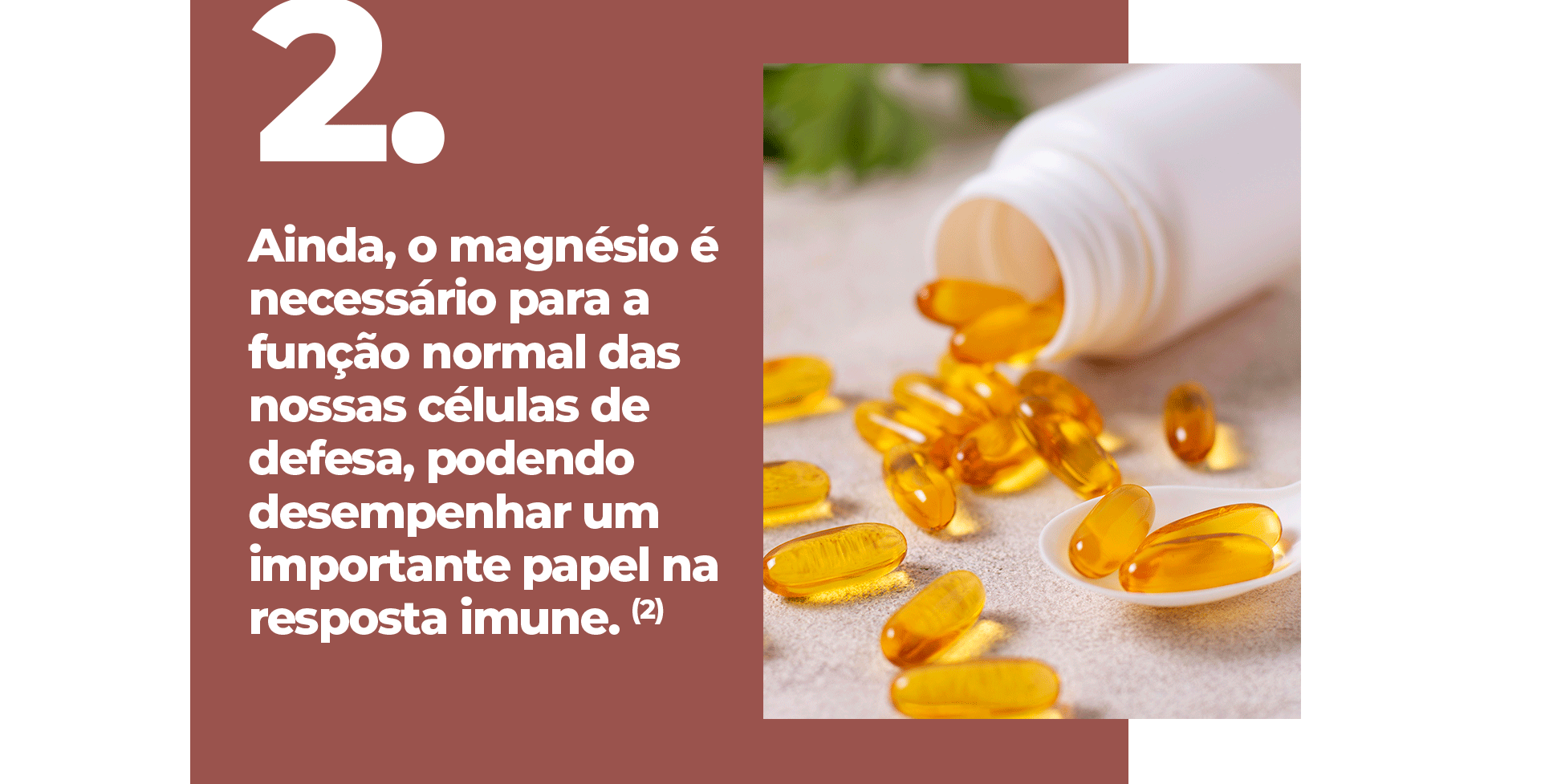 Ainda, o magnésio é necessário para a função normal das nossas células de defesa, podendo desempenhar um importante papel na resposta imune.